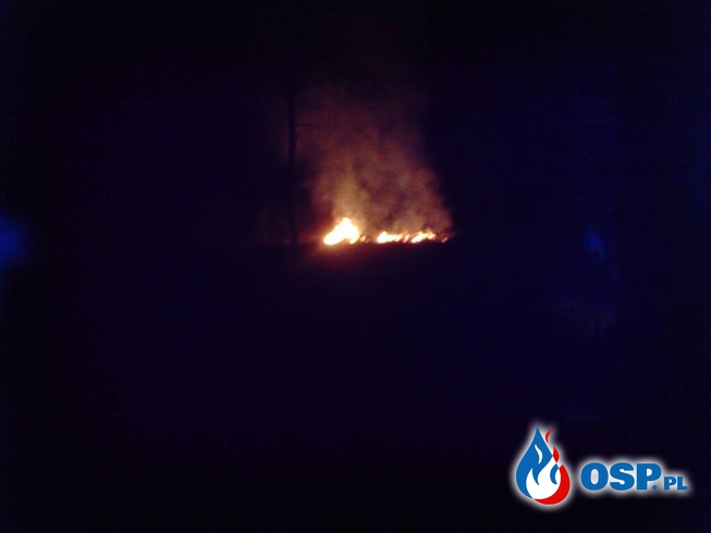 Pożar sterty gałęzi przy drodze OSP Ochotnicza Straż Pożarna