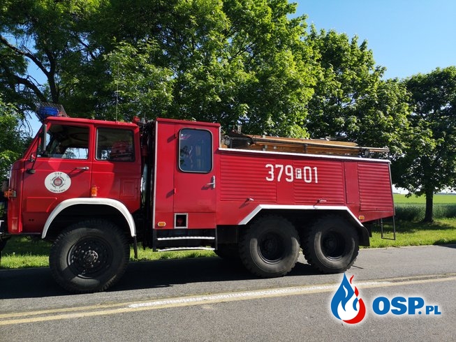 Pożar Chełmska Góra - Chełmsko OSP Ochotnicza Straż Pożarna