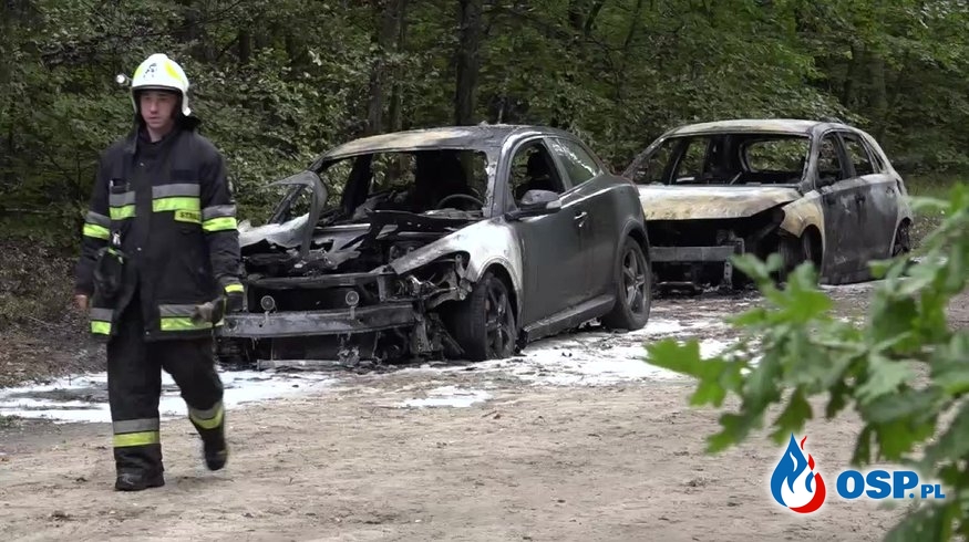 Pożar 5 samochodów na drodze leśnej. Policja znalazła pusty kanister. OSP Ochotnicza Straż Pożarna