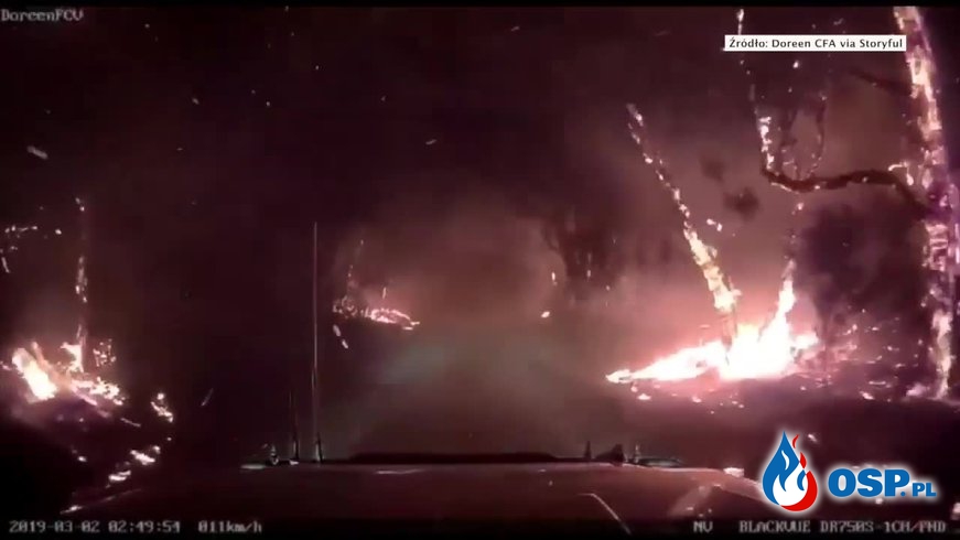 Australijscy strażacy opublikowali film z wozu, z samego środka pożaru lasu! OSP Ochotnicza Straż Pożarna