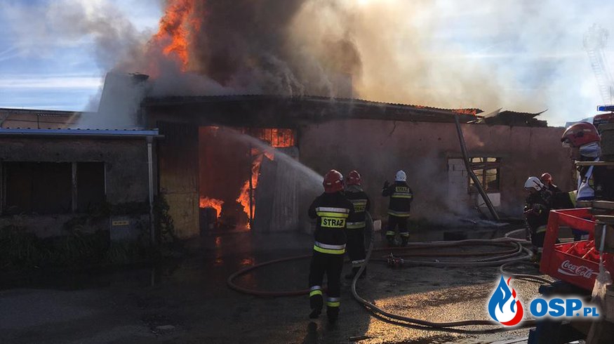 Ogromny pożar magazynu w Prudniku. Zawalił się dach OSP Ochotnicza Straż Pożarna