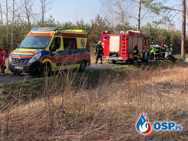Tragiczny wypadek pod Opolem. Samochód uderzył w drzewo. OSP Ochotnicza Straż Pożarna