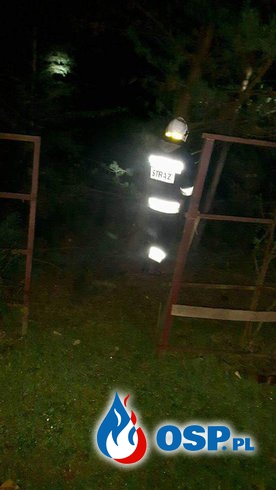 Pochylone drzewo na dom jednorodzinny w Biertowicach OSP Ochotnicza Straż Pożarna