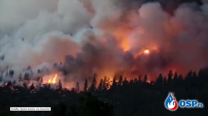 Ogromne pożary lasów w Kolorado w USA OSP Ochotnicza Straż Pożarna