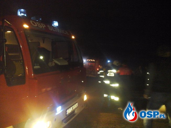 Pożar samochodu osobowego na trasie Śliwice - Tuchola OSP Ochotnicza Straż Pożarna