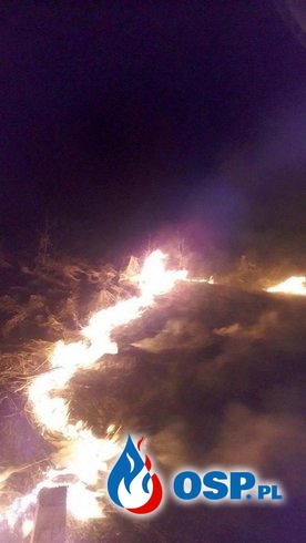 Pożar traw - 16.03.2017 - Pięty OSP Ochotnicza Straż Pożarna