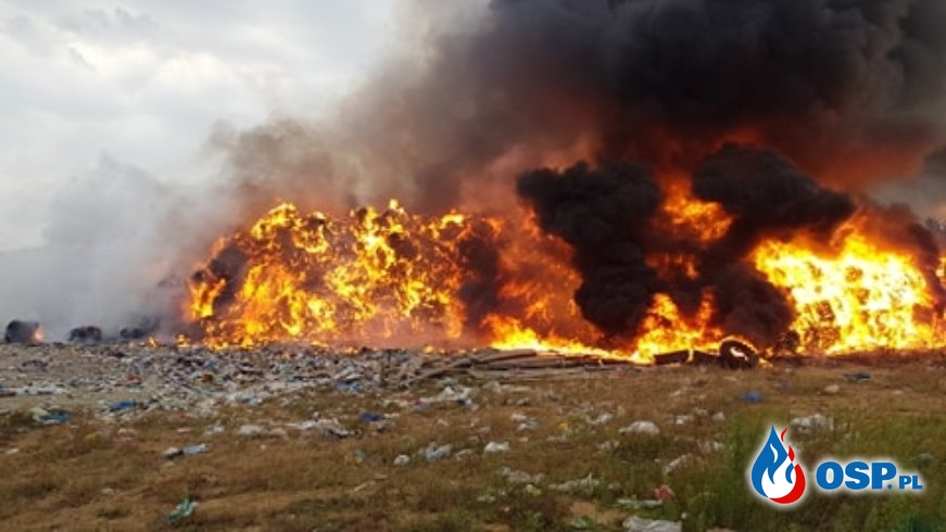 Ponad 20 zastępów strażaków gasi pożar wysypiska śmieci w Fałkowie OSP Ochotnicza Straż Pożarna