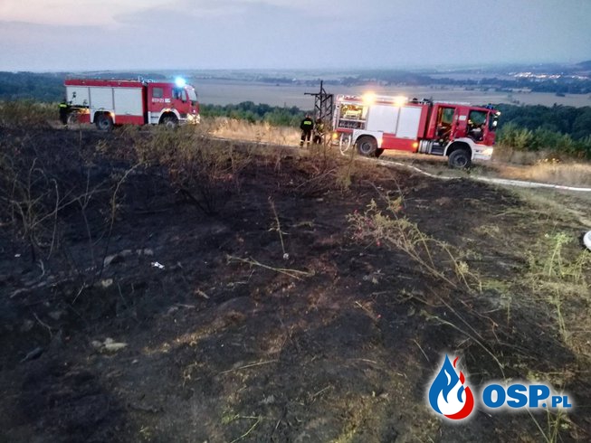 Pożar lasu na Baraniej Górace przy granicy Czeskiej OSP Ochotnicza Straż Pożarna