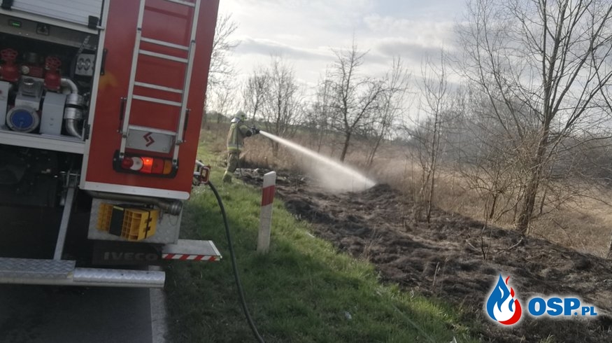 Pożar trawy pomiędzy Klępiczem a Golicami DW 125 OSP Ochotnicza Straż Pożarna
