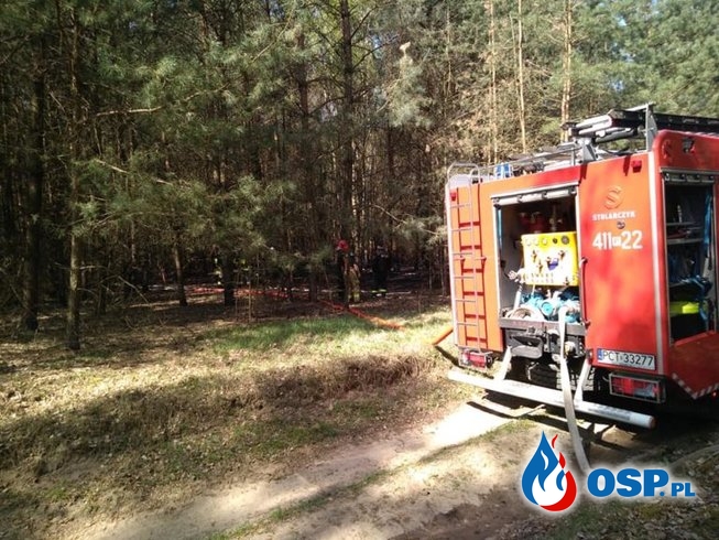 Mokrz – pożar poszycia leśnego OSP Ochotnicza Straż Pożarna