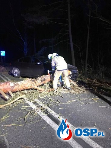 Drzewo spadło na BMW OSP Ochotnicza Straż Pożarna