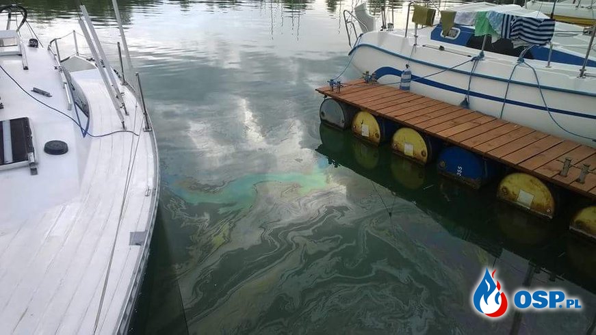 Wypadek drogowy, plama oleju na Jeziorze Solińskim, Powalone drzewo - 3 wyjazdy w jeden dzień OSP Ochotnicza Straż Pożarna