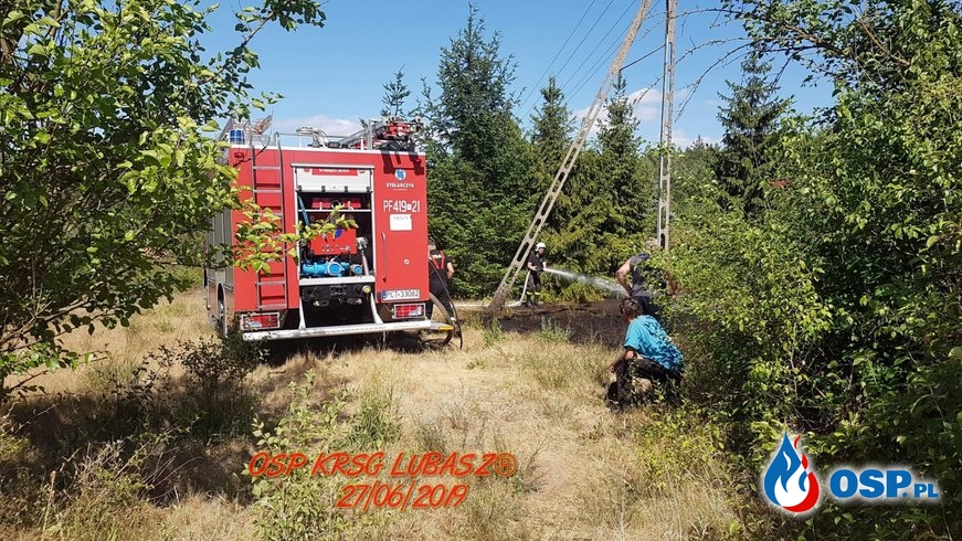 Pożar lasu w Antoniewie OSP Ochotnicza Straż Pożarna