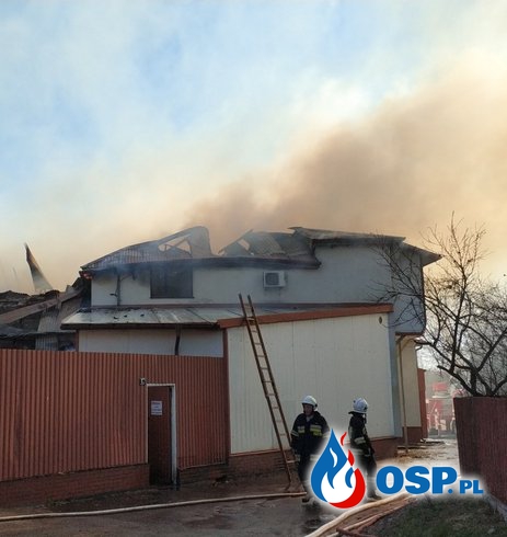 Strażacy 7 godzin walczyli z pożarem ubojni we Włodawie OSP Ochotnicza Straż Pożarna