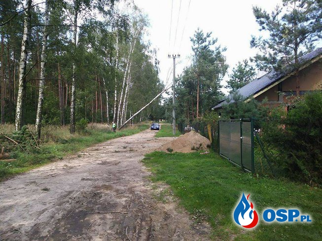 Drzewo oparte o linię wysokiego napięcia OSP Ochotnicza Straż Pożarna