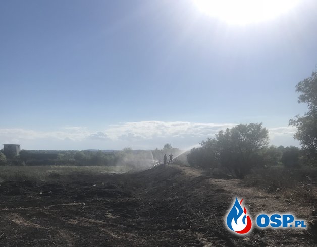 Piętnastogodzinne dogaszanie torfowiska w miejscowości Bara OSP Ochotnicza Straż Pożarna