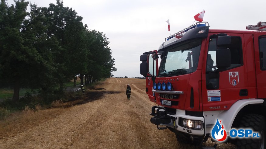 Pożar trawy i ścierni w Witnicy OSP Ochotnicza Straż Pożarna