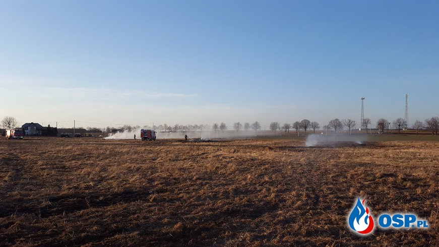 Pożar traw w Suchodańcu. OSP Ochotnicza Straż Pożarna