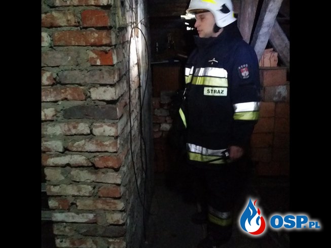 Pożar komina w budynku jednorodzinnym w Radostyni OSP Ochotnicza Straż Pożarna