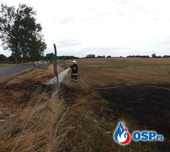 Pożar przy drodze wojewódzkiej 137 OSP Ochotnicza Straż Pożarna