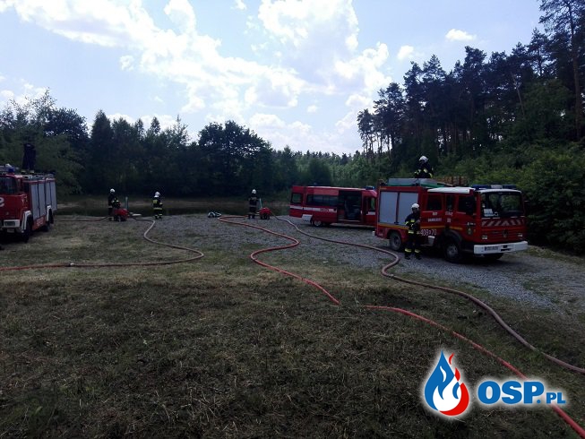 ćwiczenia w kompleksie Puszczy Niepołomickiej OSP Ochotnicza Straż Pożarna