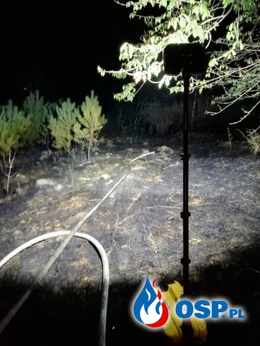 Pożar lasu na Baraniej Górace przy granicy Czeskiej OSP Ochotnicza Straż Pożarna