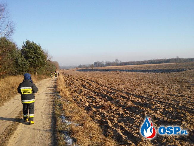 Poszukiwania osoby zaginionej w Krępie Kaszubskiej OSP Ochotnicza Straż Pożarna