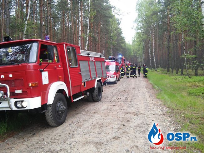 Ćwiczenia Puszcza 2017 OSP Ochotnicza Straż Pożarna