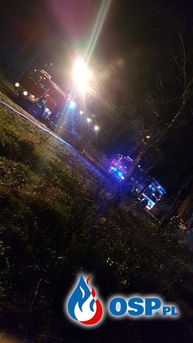 Dwie osoby zginęły w pożarze domu pod Tarnowem. W trakcie akcji zawalił się strop. OSP Ochotnicza Straż Pożarna