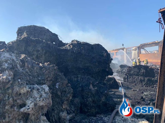 Ponad 30 zastępów strażaków gasi pożar składowiska makulatury w Grudziądzu OSP Ochotnicza Straż Pożarna