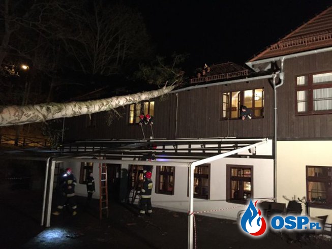 Przewrócone drzewo na dach hotelu „Opera” OSP Ochotnicza Straż Pożarna