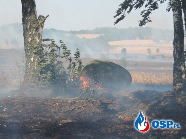 Ogromny pożar zbóż 03.08.2014 OSP Ochotnicza Straż Pożarna