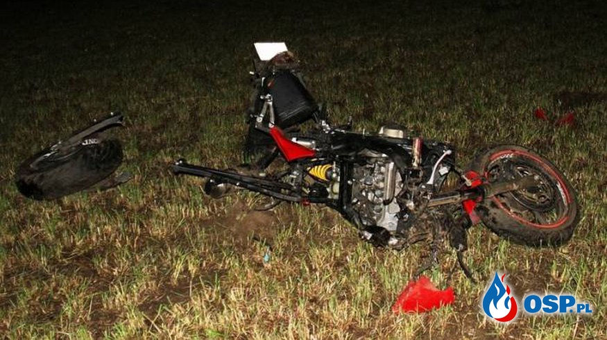 Motocyklista zginął po zderzeniu z łosiem na DK 65! OSP Ochotnicza Straż Pożarna