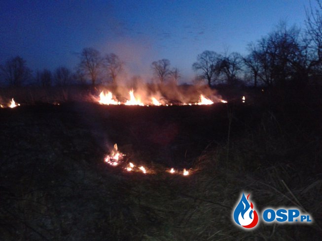 26-03-17 Płonące suche trawy OSP Ochotnicza Straż Pożarna