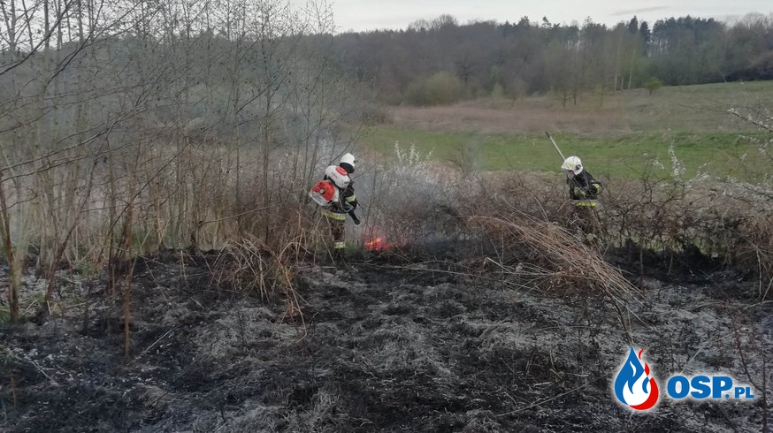 Pożar traw – Ryczów ul. Jana Pawła II OSP Ochotnicza Straż Pożarna