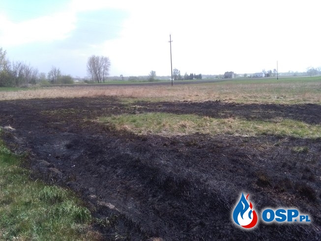 Pożar łąki w Poloniszu OSP Ochotnicza Straż Pożarna