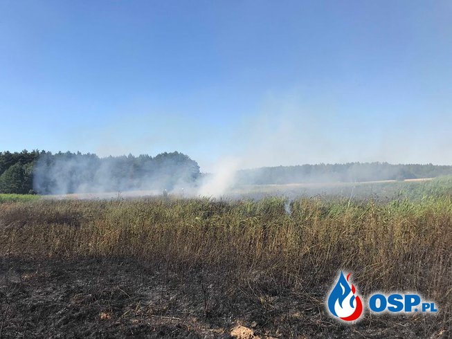 Pożar nieużytków w miejscowości Bara ok.2ha OSP Ochotnicza Straż Pożarna