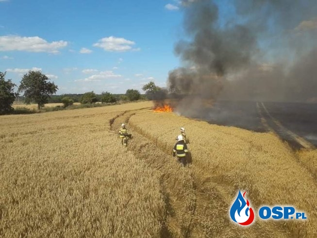 Pożar zboża w Witnicy OSP Ochotnicza Straż Pożarna
