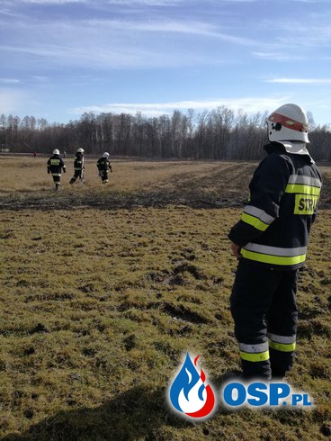 Pierwsze oznaki wiosny dla strażaka? Wyjazdy do wypalanej trawy. OSP Ochotnicza Straż Pożarna