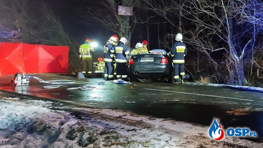 Auto rozpadło się po uderzeniu w drzewo. 21-latek zginął na miejscu. OSP Ochotnicza Straż Pożarna