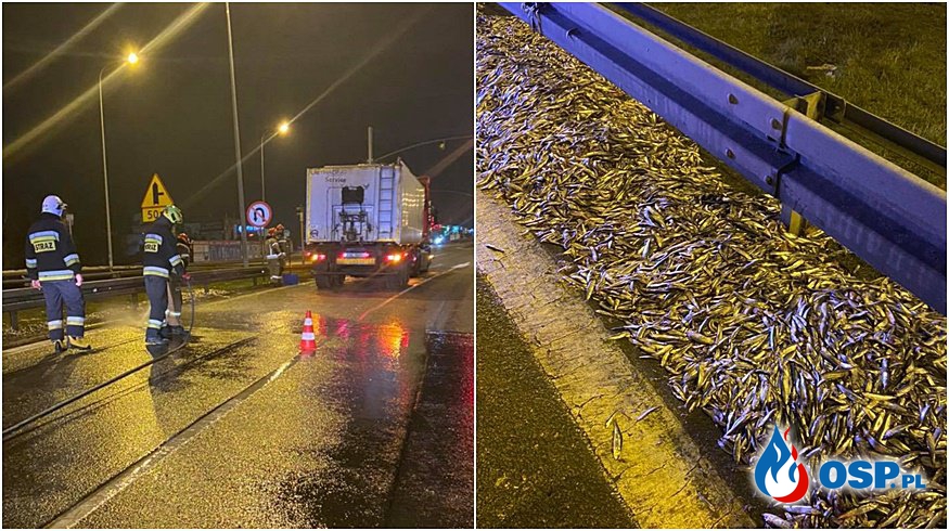 2 tony ryby wysypały się z ciężarówki na drogę. Nietypowa akcja strażaków z OSP Wejherowo. OSP Ochotnicza Straż Pożarna