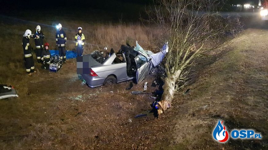 Honda ścięła drzewo. Strażacy musieli wycinać kierowcę. OSP Ochotnicza Straż Pożarna