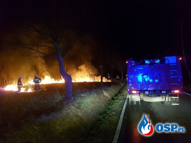 Pożar traw w miejscowości Bóbrka-Pasze OSP Ochotnicza Straż Pożarna