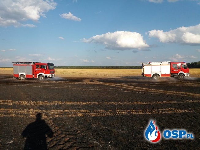 Ogromny pożar w Tuczępach. Spaliło się 50 hektarów zbóż i ściernisk. OSP Ochotnicza Straż Pożarna