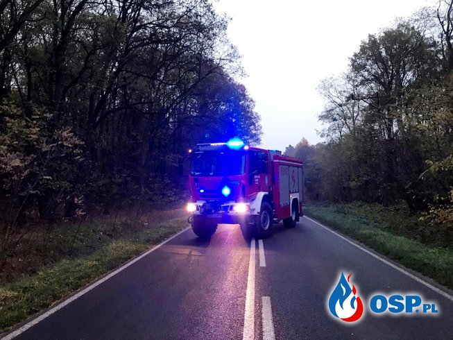 202/2020 Wypadek busa na DW 124 OSP Ochotnicza Straż Pożarna