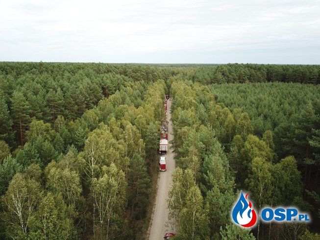 Trwają krajowe ćwiczenia "Las 2021". W manewrach bierze udział blisko 500 strażaków. OSP Ochotnicza Straż Pożarna