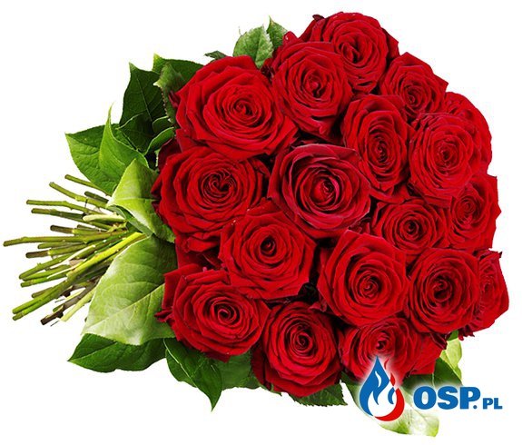 Życzenia na Dzień Kobiet. OSP Ochotnicza Straż Pożarna