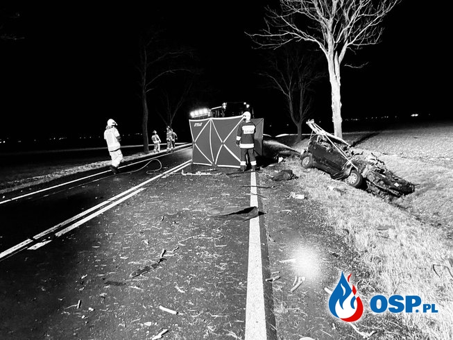 Auto rozbiło się na drzewie. Kierowca nie żyje, pasażerowie w szpitalu. OSP Ochotnicza Straż Pożarna