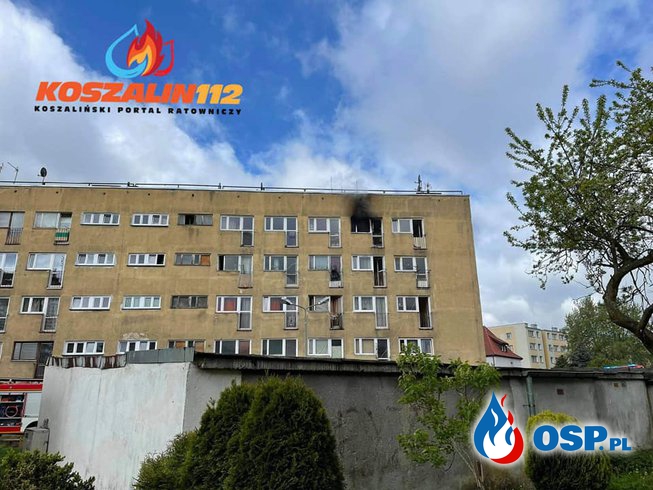 Tragiczny pożar mieszkania w Koszalinie. Dwie osoby nie żyją, ranny został strażak. OSP Ochotnicza Straż Pożarna