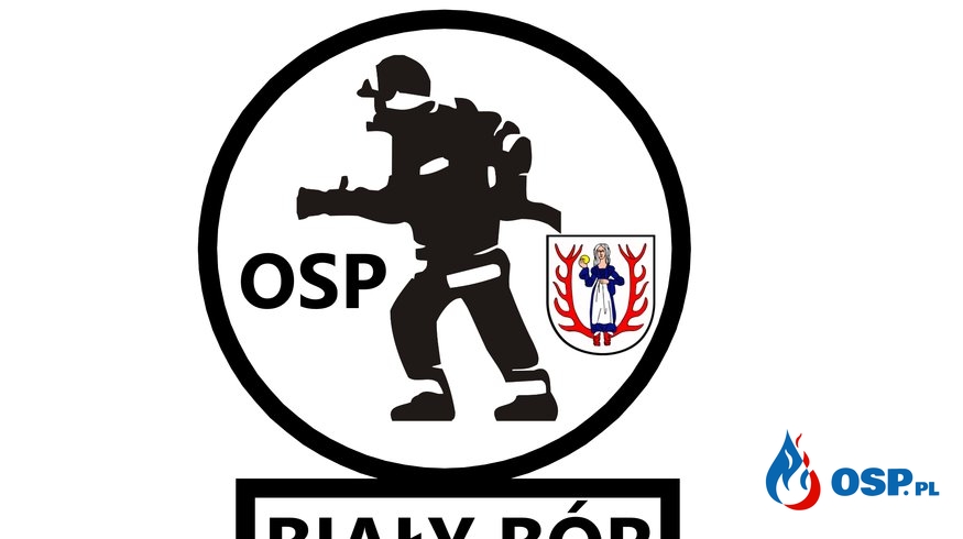 Trzmielewo Agresywne Owady OSP Ochotnicza Straż Pożarna